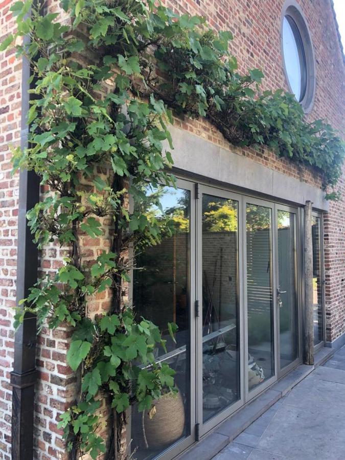 Landelijke Villa Met Zwembad En Gezellige Openhaard Zemst エクステリア 写真
